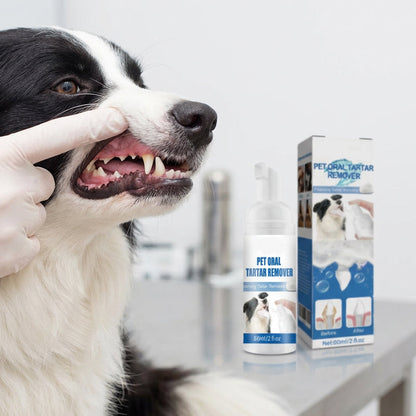 🔥Last Day 49% OFF - 🐾 BUY 2 GET 1 FREE! ✨Pet Oral Care Foaming Tartar Remover🦷