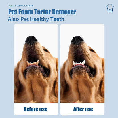 🔥Last Day 49% OFF - 🐾 BUY 2 GET 1 FREE! ✨Pet Oral Care Foaming Tartar Remover🦷