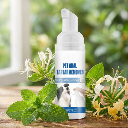 🔥Last Day 49% OFF - 🐾 BUY 2 GET 1 FREE! ✨Pet Oral Care Foaming Tartar Remover🦷